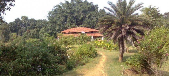 If you love thrill in Nature & Forest then you stay in Palash Bithi,Garpanchkot