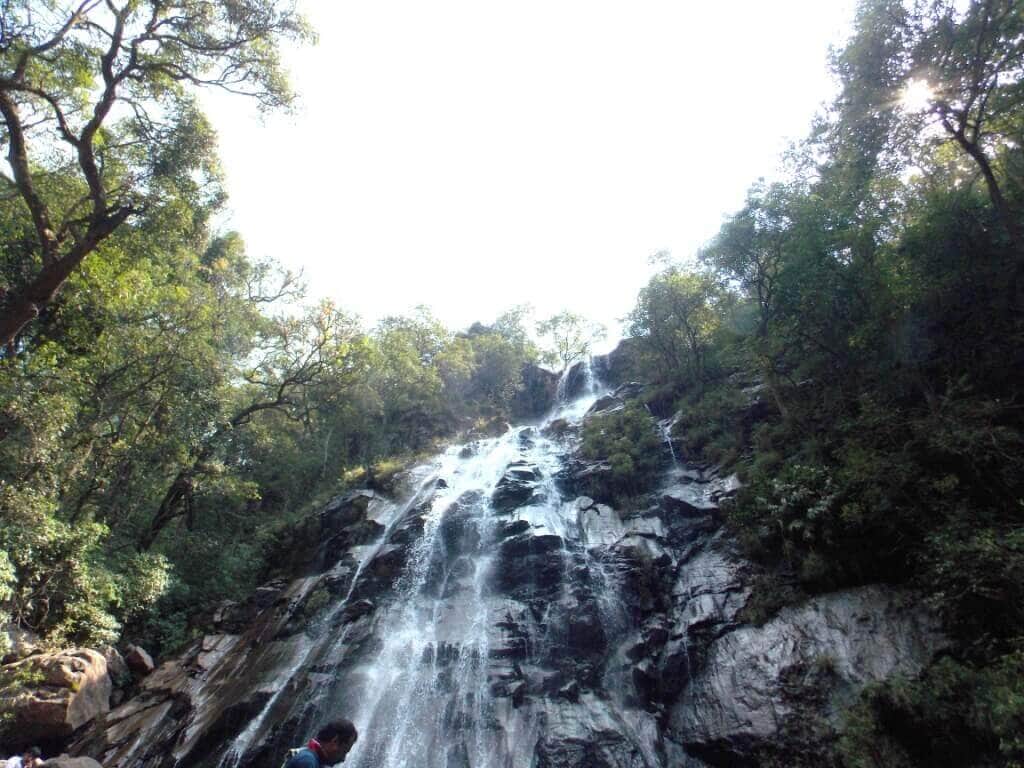 Bee falls