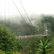 Sinsor bridge