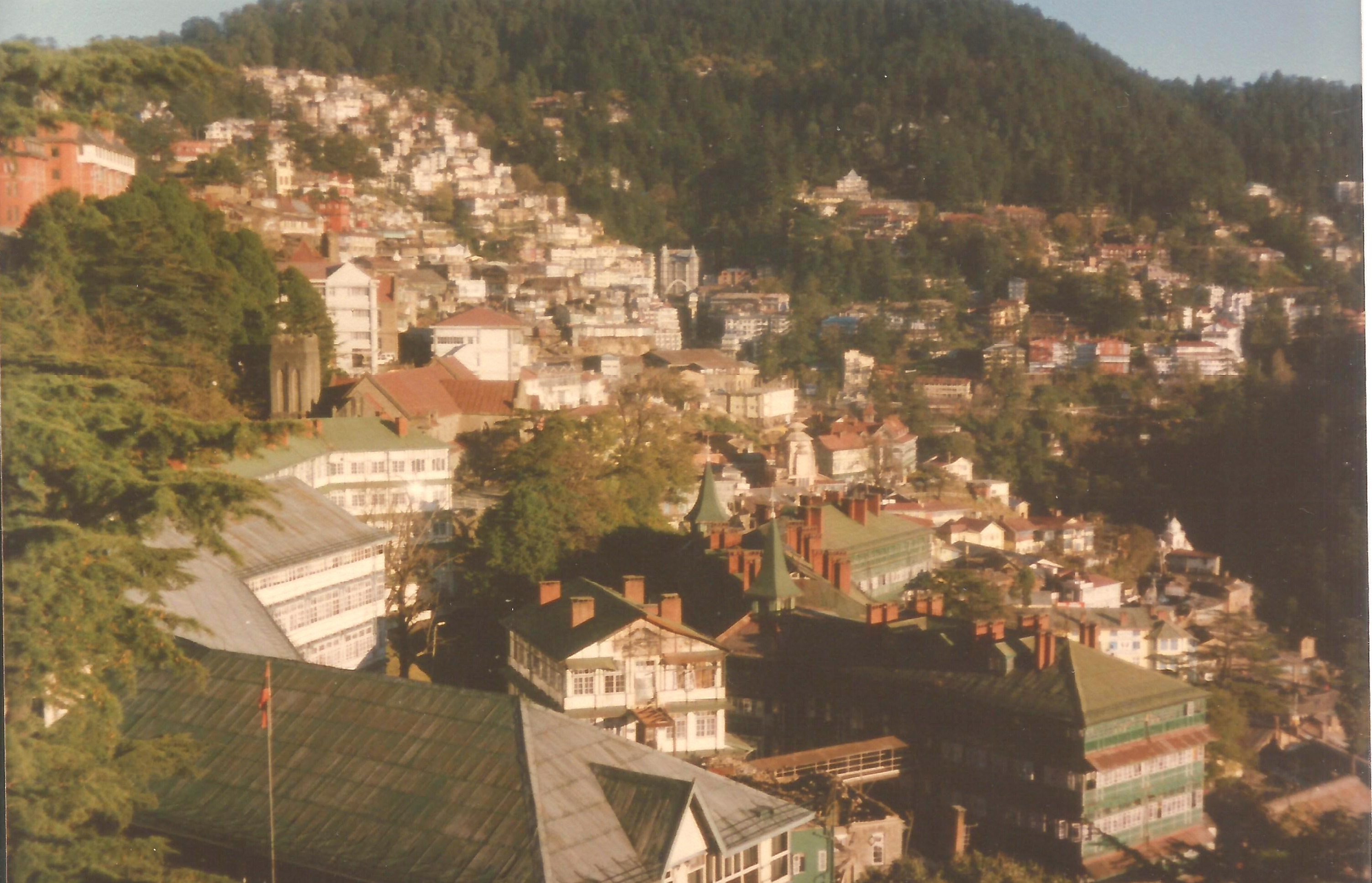 Shimla