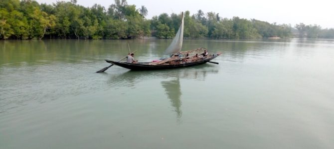 Sundarban : Call of Forest